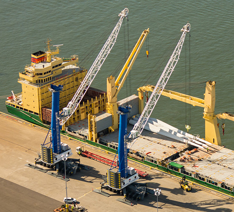 20140410_2Cranes_POV_057_crop