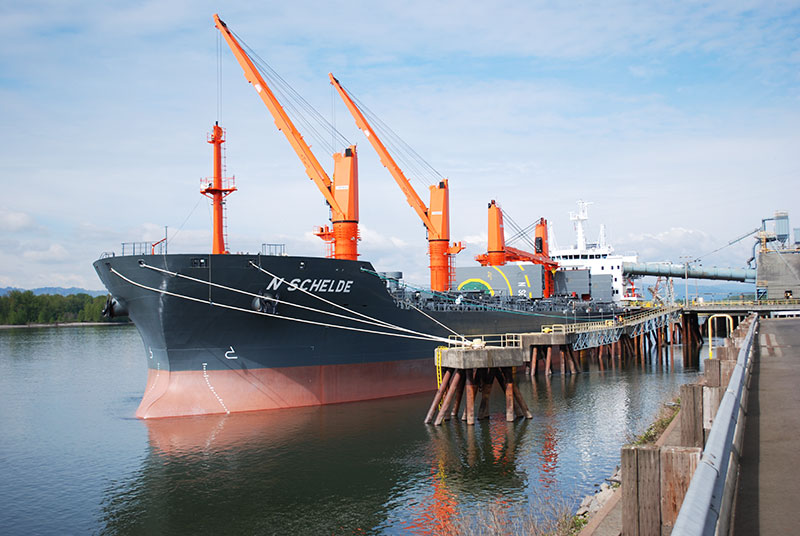 POV_MVNSchelde2-2_web