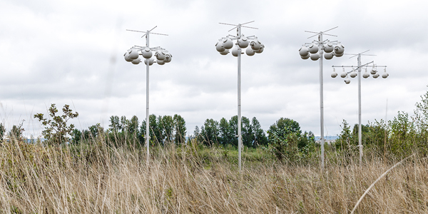 PurpleMartinHabitat_POV_2020_HERO