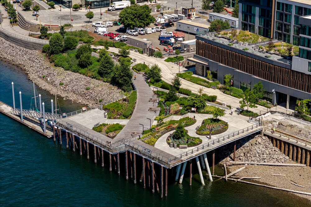 Renaissance trail hero