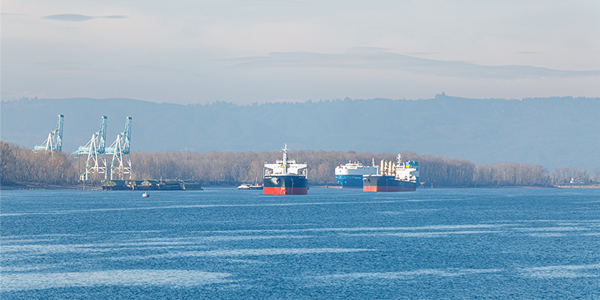 Ships-in-colrv-2019-HERO