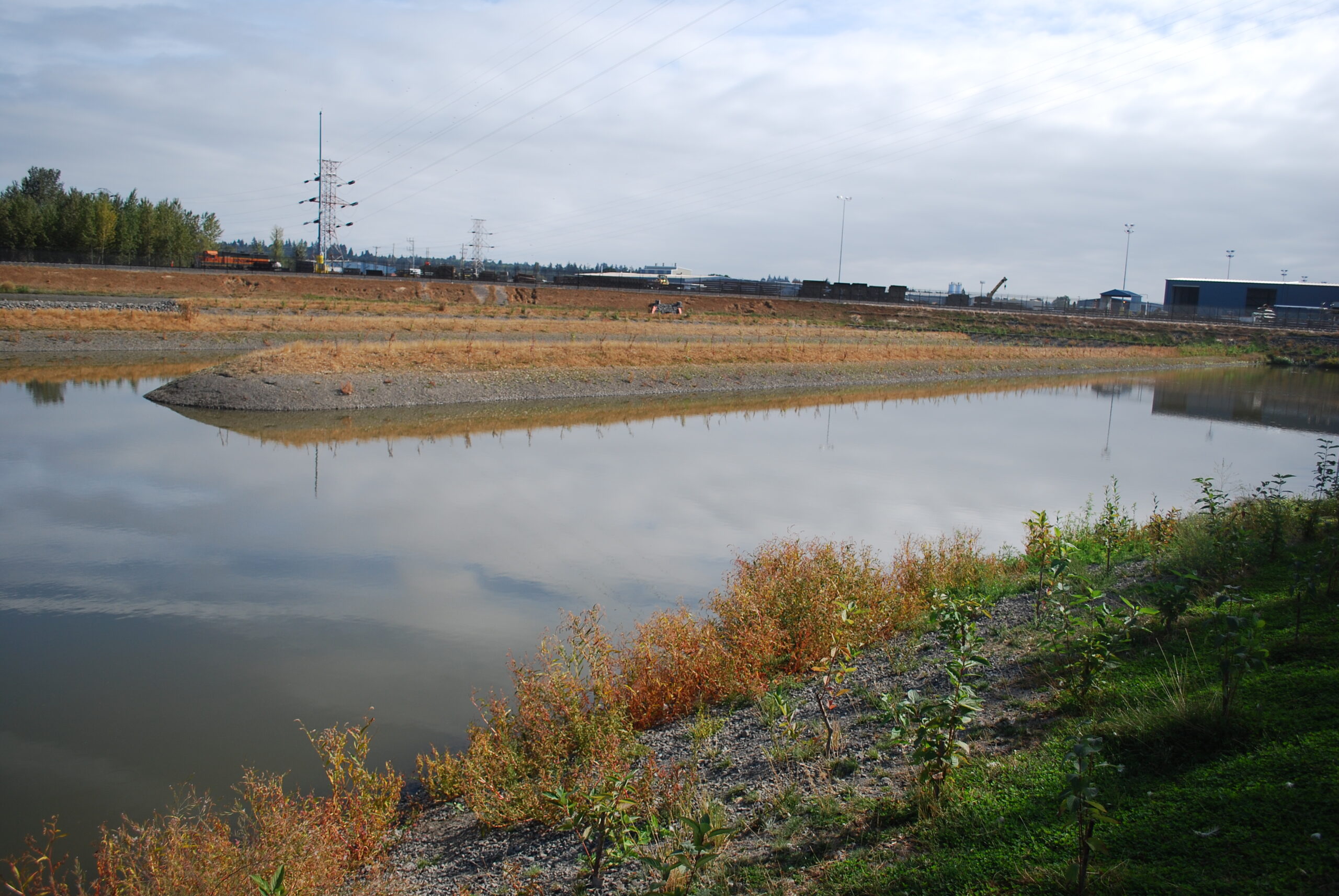 T-4-pond_09252012_2851