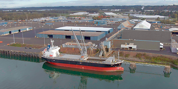 bulk-ship-at-berth-SOI bulk-ship-at-berth-SOI