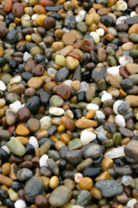 Small rocks of various sizes and colors.
