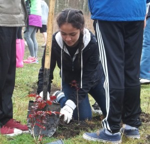 tree-planting-2015